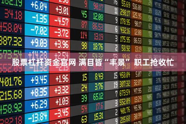 股票杠杆资金官网 满目皆“丰景” 职工抢收忙