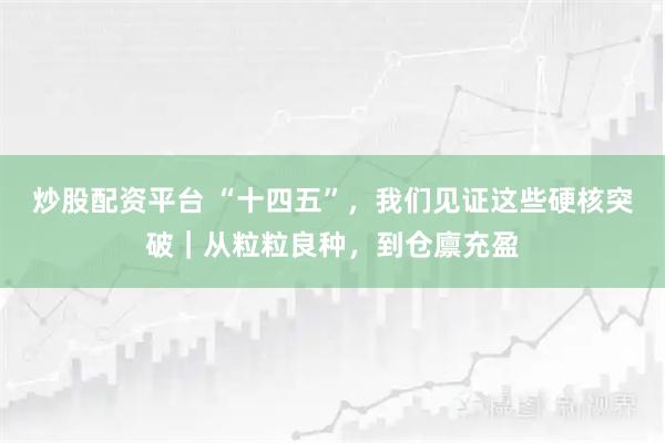 炒股配资平台 “十四五”，我们见证这些硬核突破｜从粒粒良种，到仓廪充盈