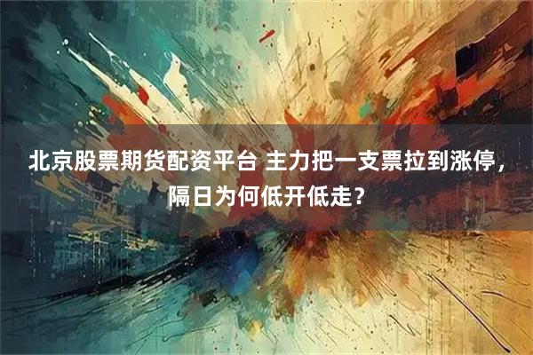 北京股票期货配资平台 主力把一支票拉到涨停，隔日为何低开低走？