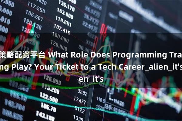 亿策略配资平台 What Role Does Programming Training Play? Your Ticket to a Tech Career_alien_it's