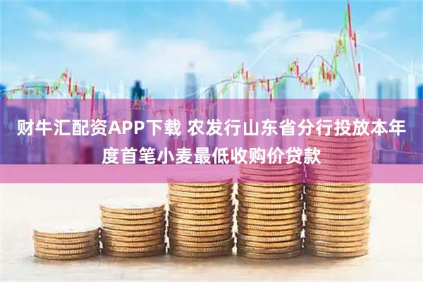 财牛汇配资APP下载 农发行山东省分行投放本年度首笔小麦最低收购价贷款