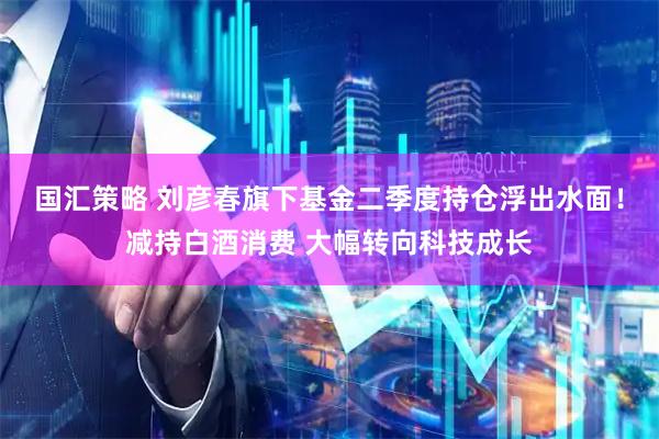 国汇策略 刘彦春旗下基金二季度持仓浮出水面！减持白酒消费 大幅转向科技成长